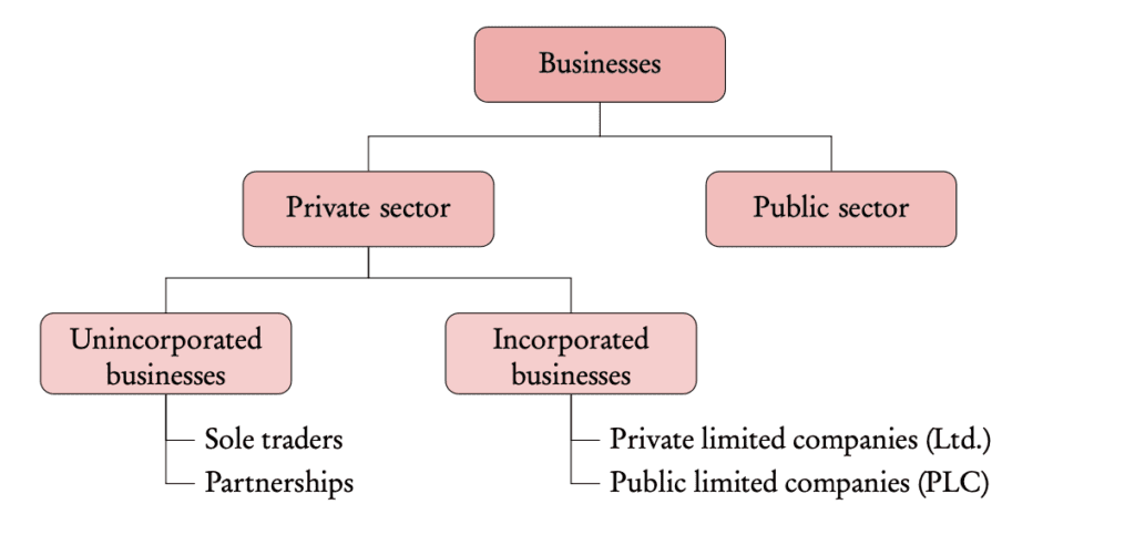 Public vs. private sectors - Top Study Guide | RevisionTown