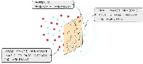 Osmosis – A special case of diffusion