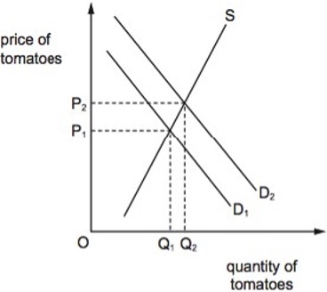 Economics Notes Section B questions