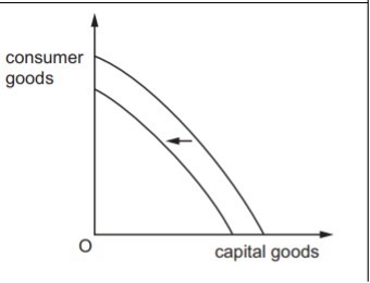 Economics Notes Section B questions