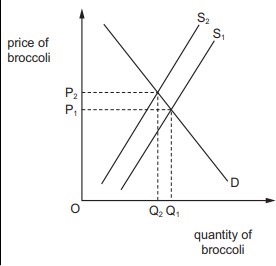 Economics Notes Section B questions