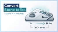 Convert stone to lbs infographic showing 1 stone equals 14 pounds.