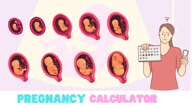 pregnancy-calculator-revisiontown