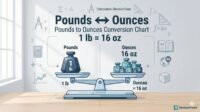 Professional infographic illustrating pounds to ounces conversion formula for RevisionTown