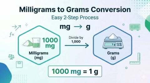 Milligrams to grams conversion chart showing 1000 mg equals 1 gram with a clear visual diagram