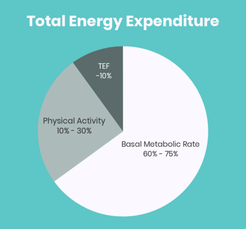 Daily Energy Expenditure