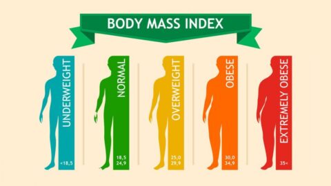 Body Mass Index