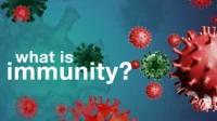 What Is Immunity: Understanding Our Body’s Defense Mechanisms and Their Impact on Health