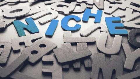 What Is a Niche: Unlocking the Power of Specialization in Business and Life