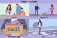 What Is Altruism: Understanding Selfless Acts and Their Impact on Society