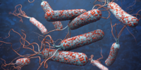 cholera