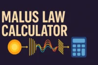 Malus Law Calculator