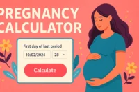 Pregnancy Calculator