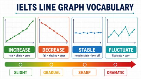 IELTS line graph vocabulary diagram for increases, decreases, stability, fluctuations and change intensity