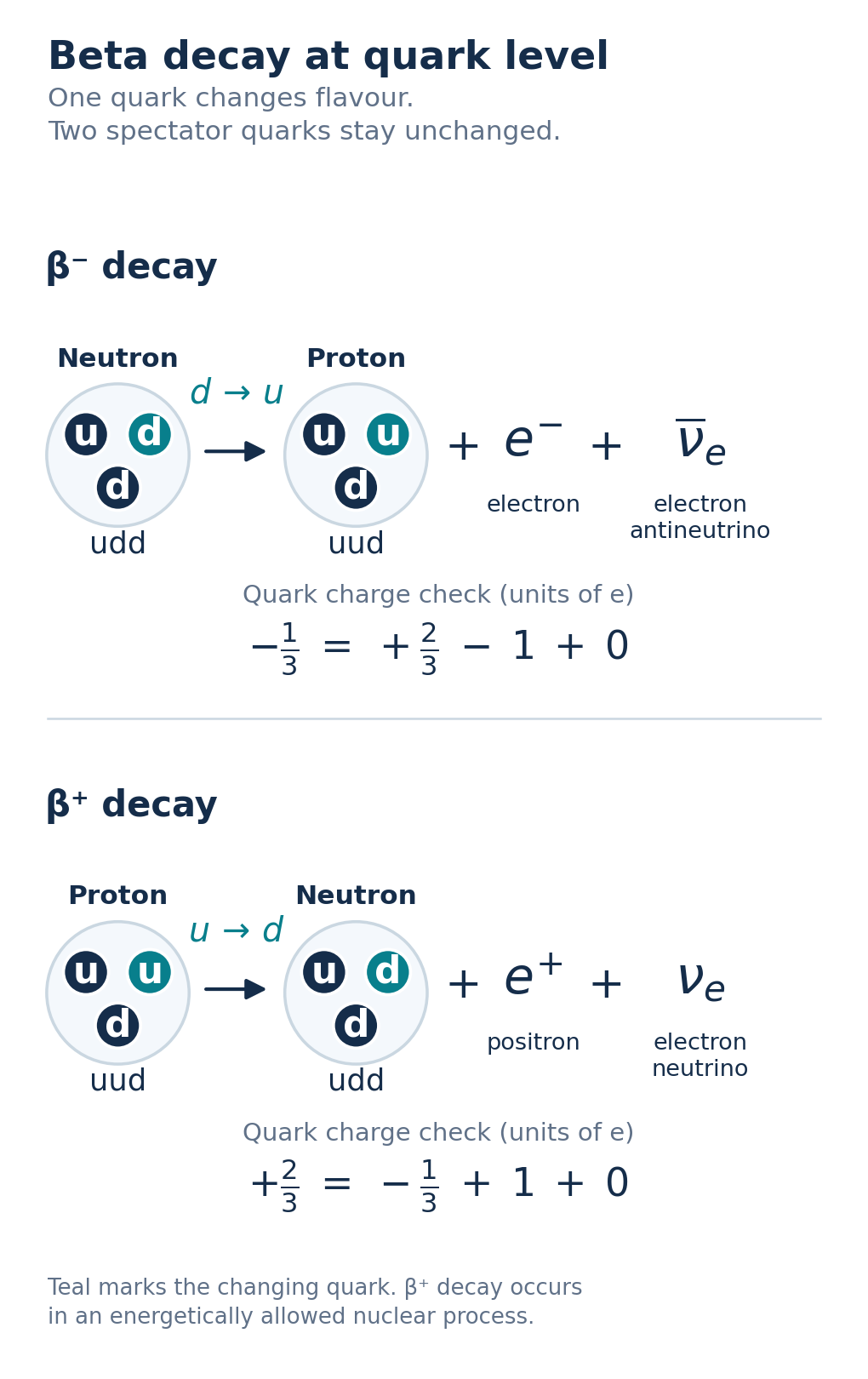 Two beta-decay reaction panels. In beta-minus decay, neutron udd changes to proton uud, emitting an electron and electron antineutrino. Only the upper-right down quark changes to up; the up and down spectator positions stay fixed. In beta-plus decay, proton uud changes to neutron udd, emitting a positron and electron neutrino. Only the upper-right up quark changes to down; the two spectators stay fixed. Each panel includes the changing-quark charge balance in units of e.