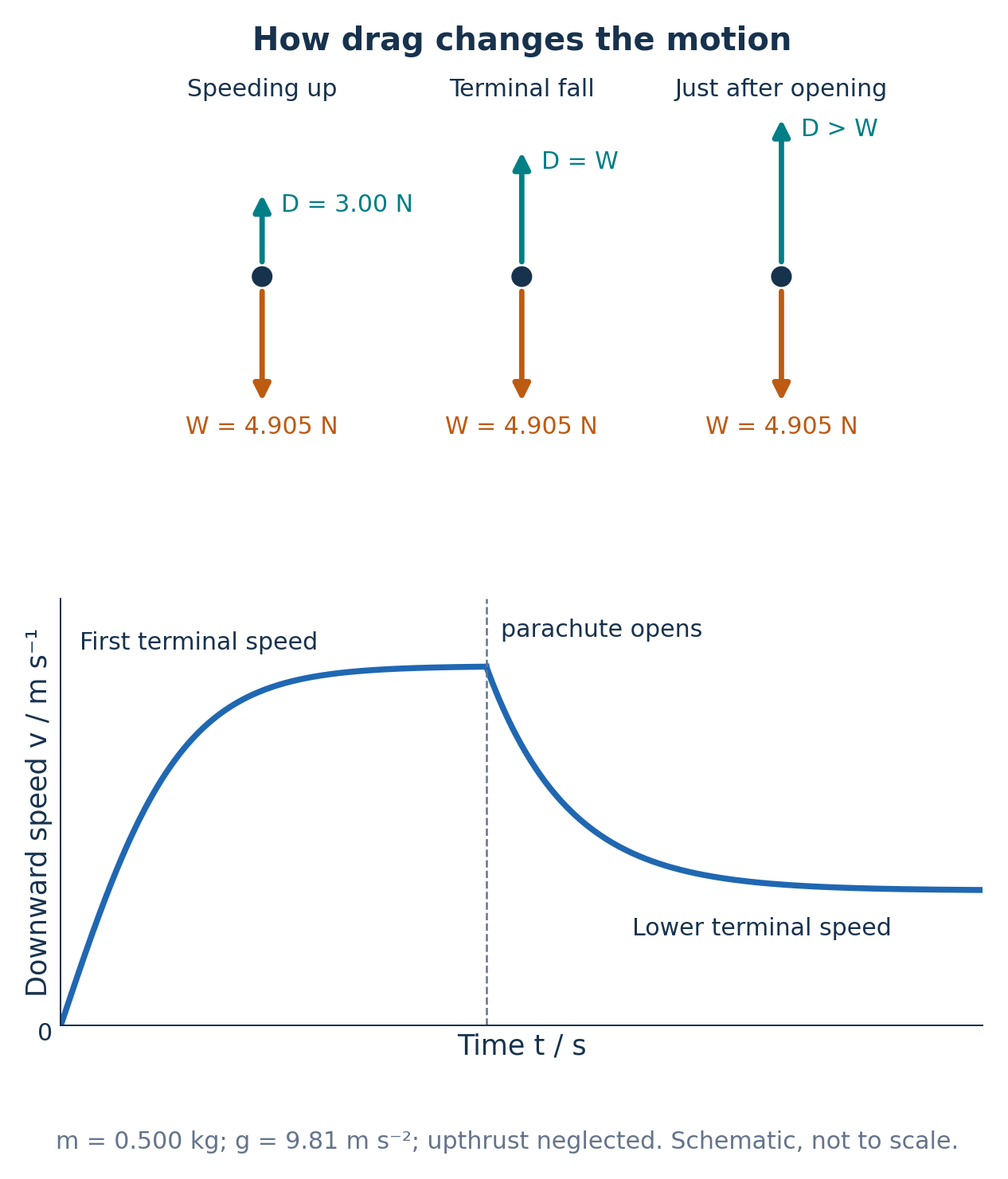 Three falling-object force diagrams show upward drag smaller than, equal to and greater than downward weight 4.905 newtons. Upthrust is neglected. A schematic downward-speed graph rises continuously toward a first terminal speed, remains continuous when the parachute opens, then falls toward a lower positive terminal speed.